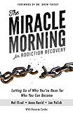 MM for Addiction Recovery